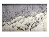 Evening Snow at Asuka Hill