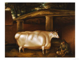 Buy The White Heifer That Travelled, with a Man Slicing Turnips in a Stable Yard, Dated 1811 at AllPosters.com