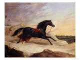 Buy Arabs Chasing a Loose Arab Horse in an Eastern Landscape at AllPosters.com