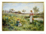 Summer Flowers, 1903