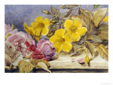 Buy A Still Life of Roses and Other Flowers on a Ledge at AllPosters.com
