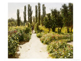 Buy View of a Garden at AllPosters.com