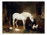 Stable Companions