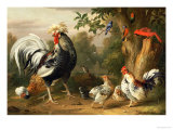 Poultry and Other Birds in the Garden of a Mansion