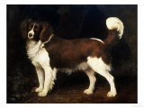 A Spaniel in a Landscape, 1784