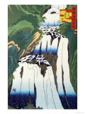 Buy The Mist Spraying Waterfall at Nikko at AllPosters.com