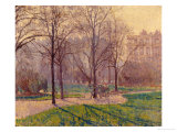 The Avenue