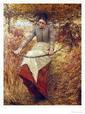 Buy An Autumn Morning at AllPosters.com