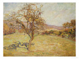 Buy Landscape, 1890 at AllPosters.com
