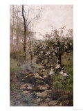 Buy Spring at AllPosters.com