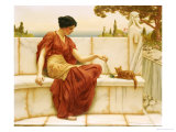 The Favourite, 1901