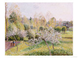 Buy Apple Trees in Blossom, Eragny, 1895 at AllPosters.com