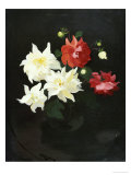 Buy Red and White Dahlias at AllPosters.com