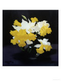 Buy Daffodils at AllPosters.com
