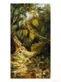 Buy Jungala Cubana, 1880 at AllPosters.com