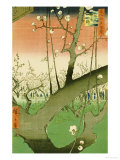 Plum Garden, Kameido