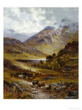 Longhorn Cattle in a Mountainous Landscape, 1892