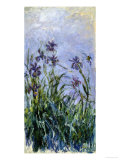 Buy Iris Mauves, 1914-1917 at AllPosters.com