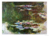 Lily Pond, 1881