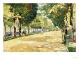 Buy The Tiergarten Park, Berlin at AllPosters.com