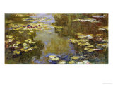 The Lily Pond