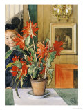 Buy Brita's Cactus, 1904 at AllPosters.com
