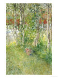 Buy A Nap Outdoors at AllPosters.com