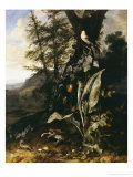 Buy Forest Floor with a Toad and a Lizard, a Bullfinch on a Branch of Ivy Above and a Mountain Beyond at AllPosters.com