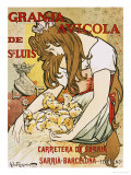 Granja Avicola de Sn. Luis, 1896