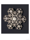 Buy A Diamond and Platinum-Mounted Snowflake Brooch, circa 1908-1913 at AllPosters.com