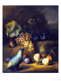 A Parrot with Grapes, Peaches and Plums in a Landscape