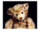 Close Up of a Steiff 