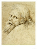 Buy The Head of a Bearded Man, Turned to the Left Looking Back, 1520 at AllPosters.com