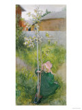 Buy Appleblossom, 1894 at AllPosters.com