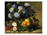 Buy Hydrangea in an Urn and a Basket of Fruit on a Ledge at AllPosters.com