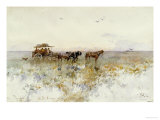 Buy La Pampas, Latin America at AllPosters.com