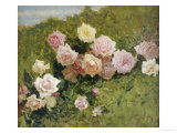 A Study of Roses
