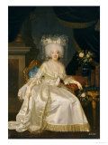 Buy Portrait of Louise Marie Josephine de Savoie, in a White Satin Dress at AllPosters.com