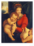 Buy The Madonna with the Sleeping Child and the Infant Baptist at AllPosters.com