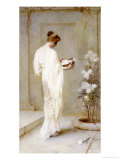 Divinely Fair, 1893