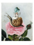 Buy A Fairy Holding a Leaf, Sitting on a Snail Above a Rose at AllPosters.com