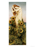 Clytie, 1886-7