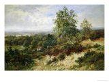 Buy Helmbury Hill, Surrey at AllPosters.com