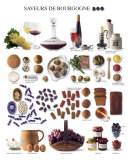 The Taste of Burgundy
