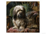 Buy A Dandy Dinmont at AllPosters.com