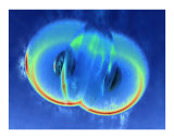 Buy Surreal Cells at AllPosters.com