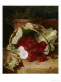 Buy Raspberries in a Cabbage Leaf Lined Basket with White Convulus on a Stone Ledge, 1880 at AllPosters.com