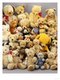 A Large Selection of Teddy Bears