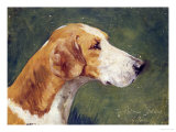 Buy The Portman Galway, 1922 at AllPosters.com