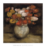 Blushing Poppies